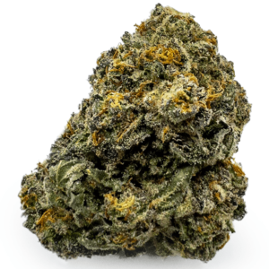 Kup Durban Poison Konopie Online