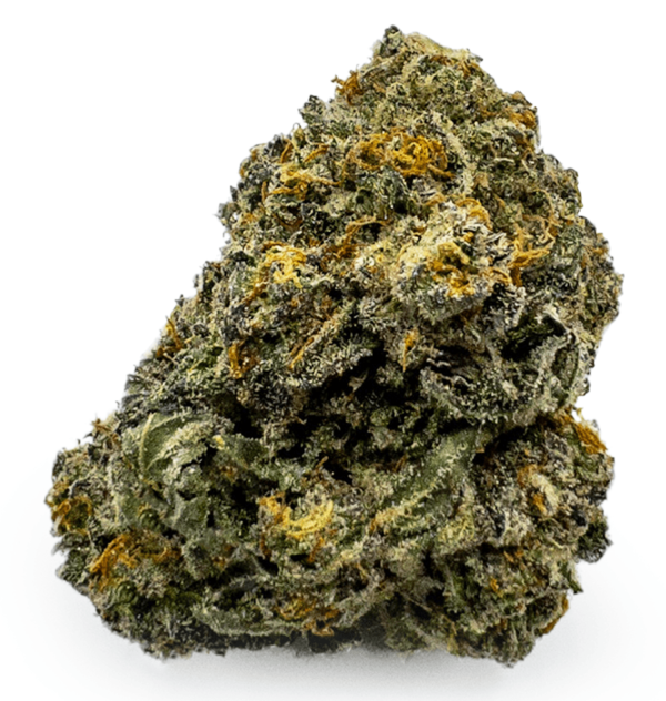 Kup Durban Poison Konopie Online