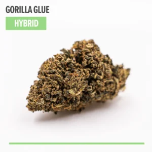 Kup marihuanę Gorilla Glue THC